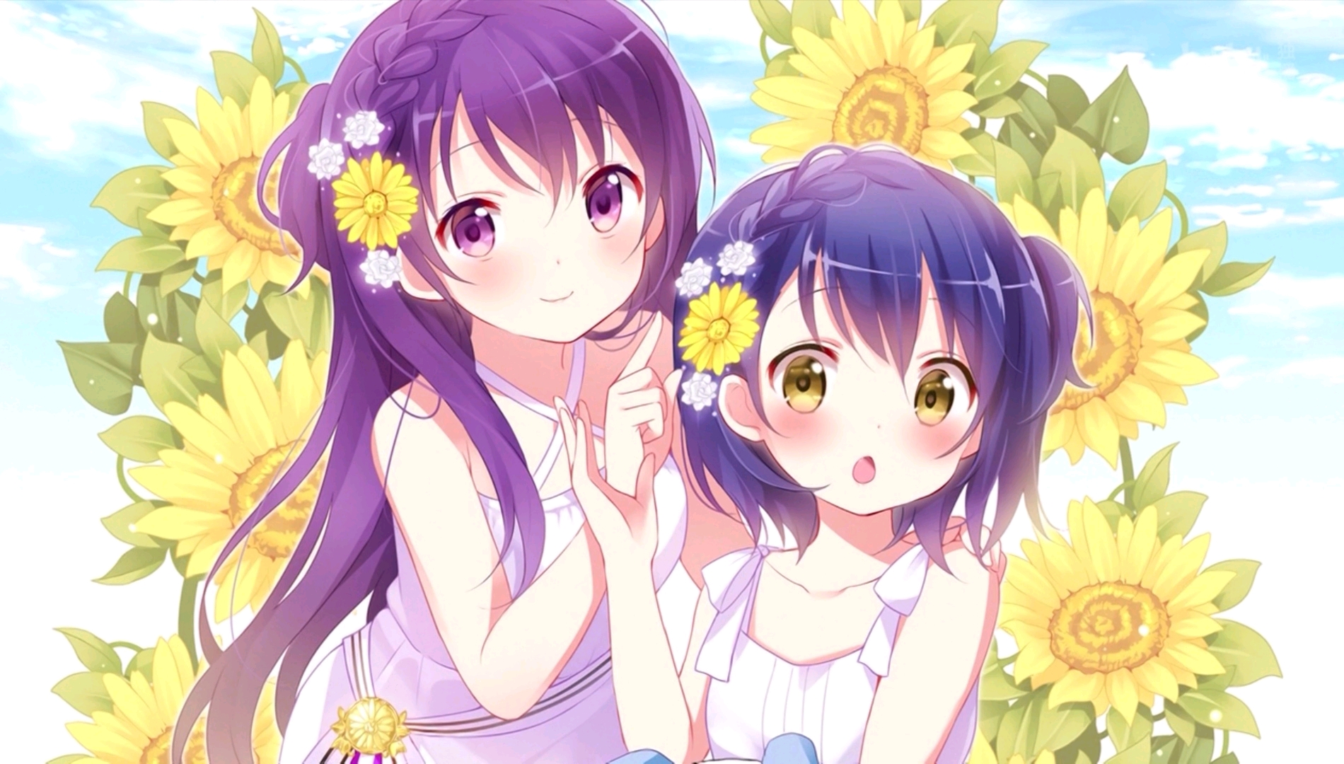 Some lovely pictures